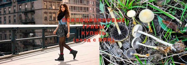 спиды Кукмор